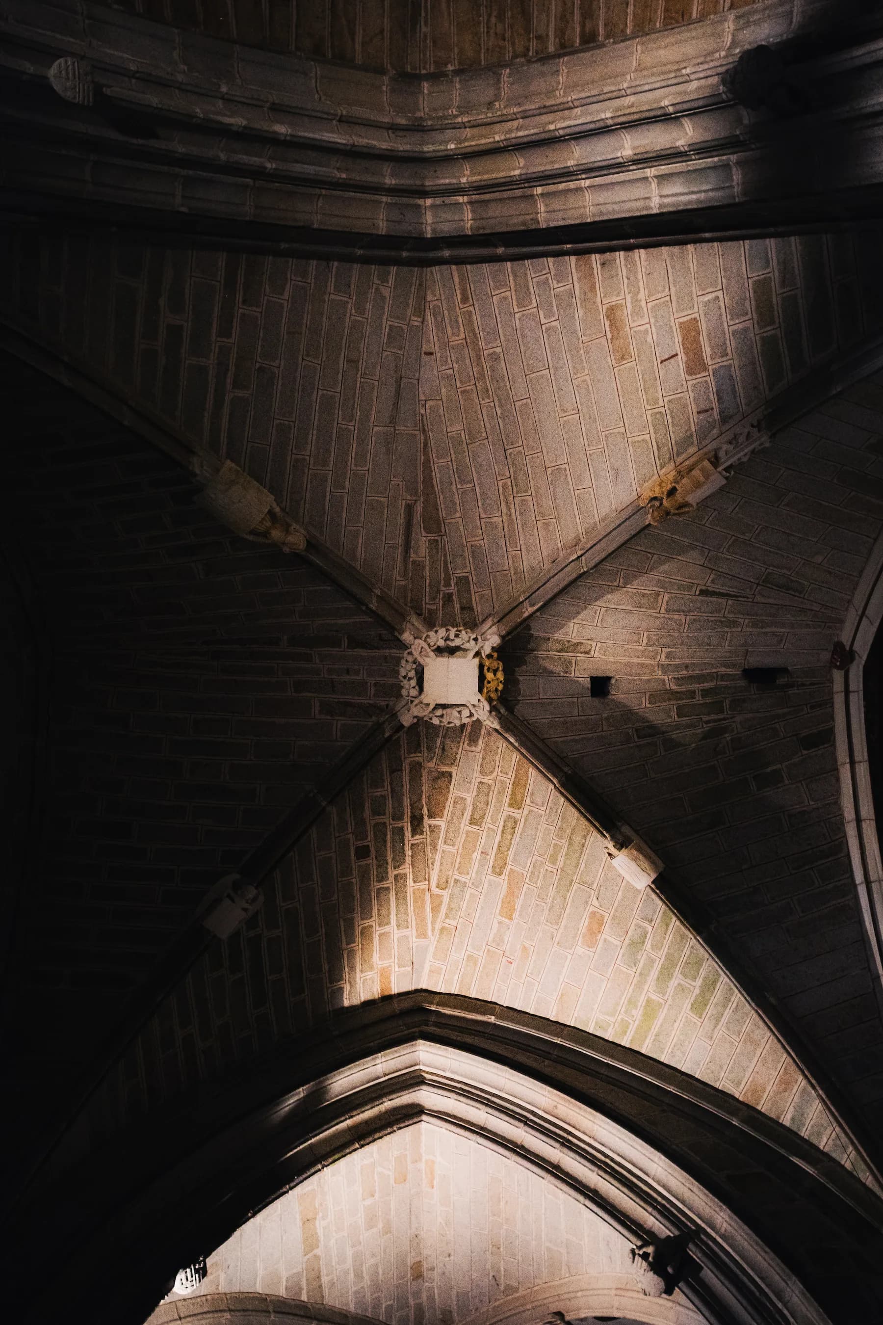 Nature & architecture - photo 11 par Alexis Yvonnou