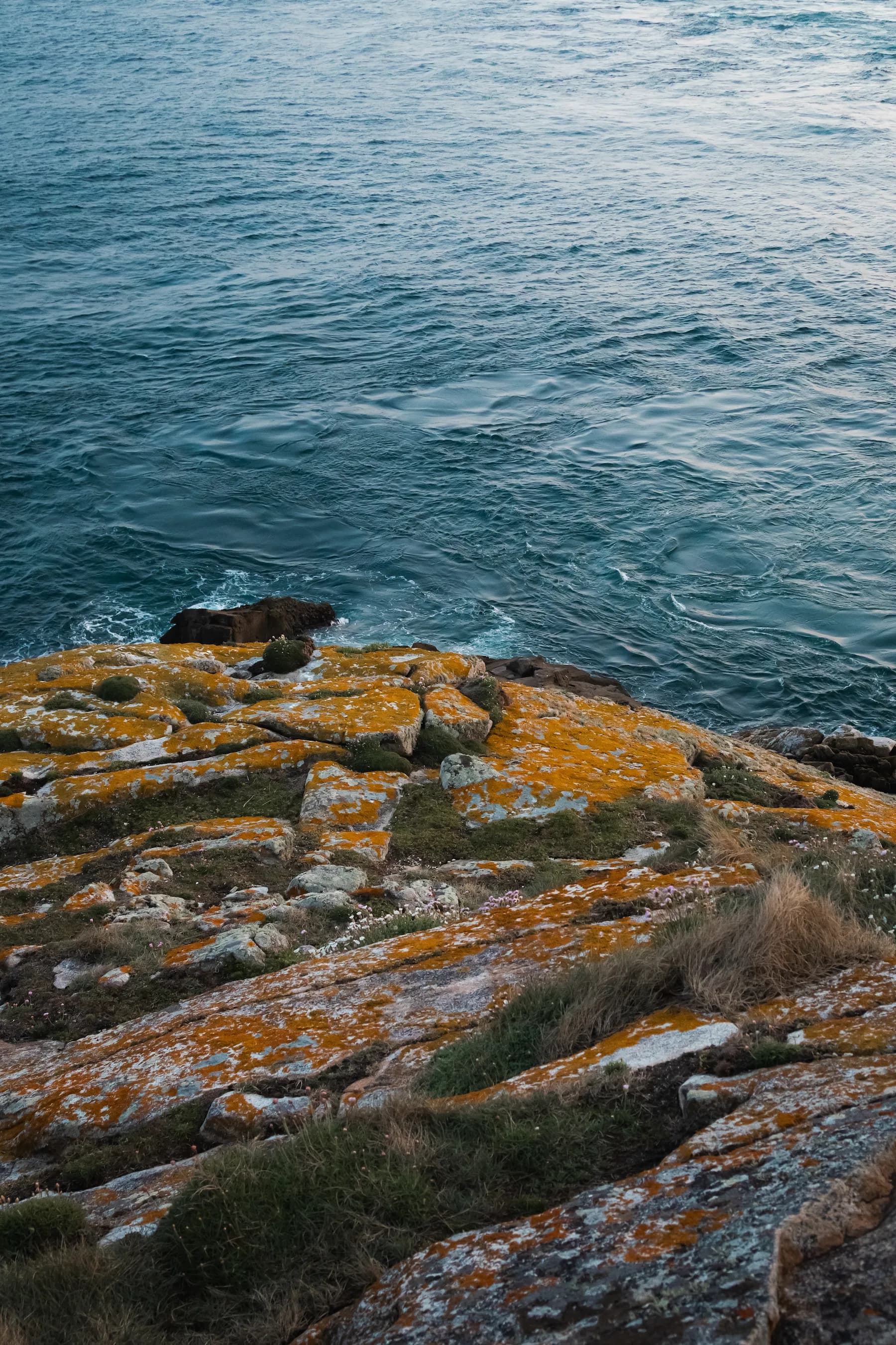 Nature & architecture - photo 18 par Alexis Yvonnou