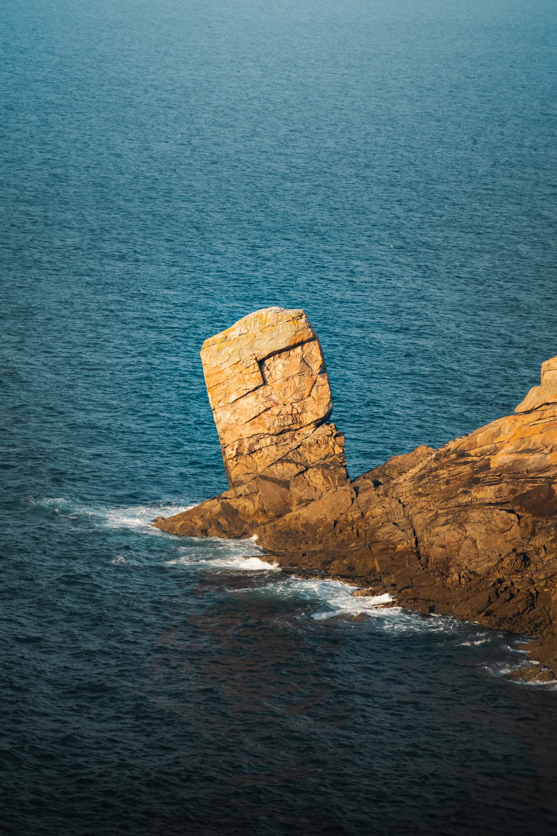 Nature & architecture - photo 2 par Alexis Yvonnou