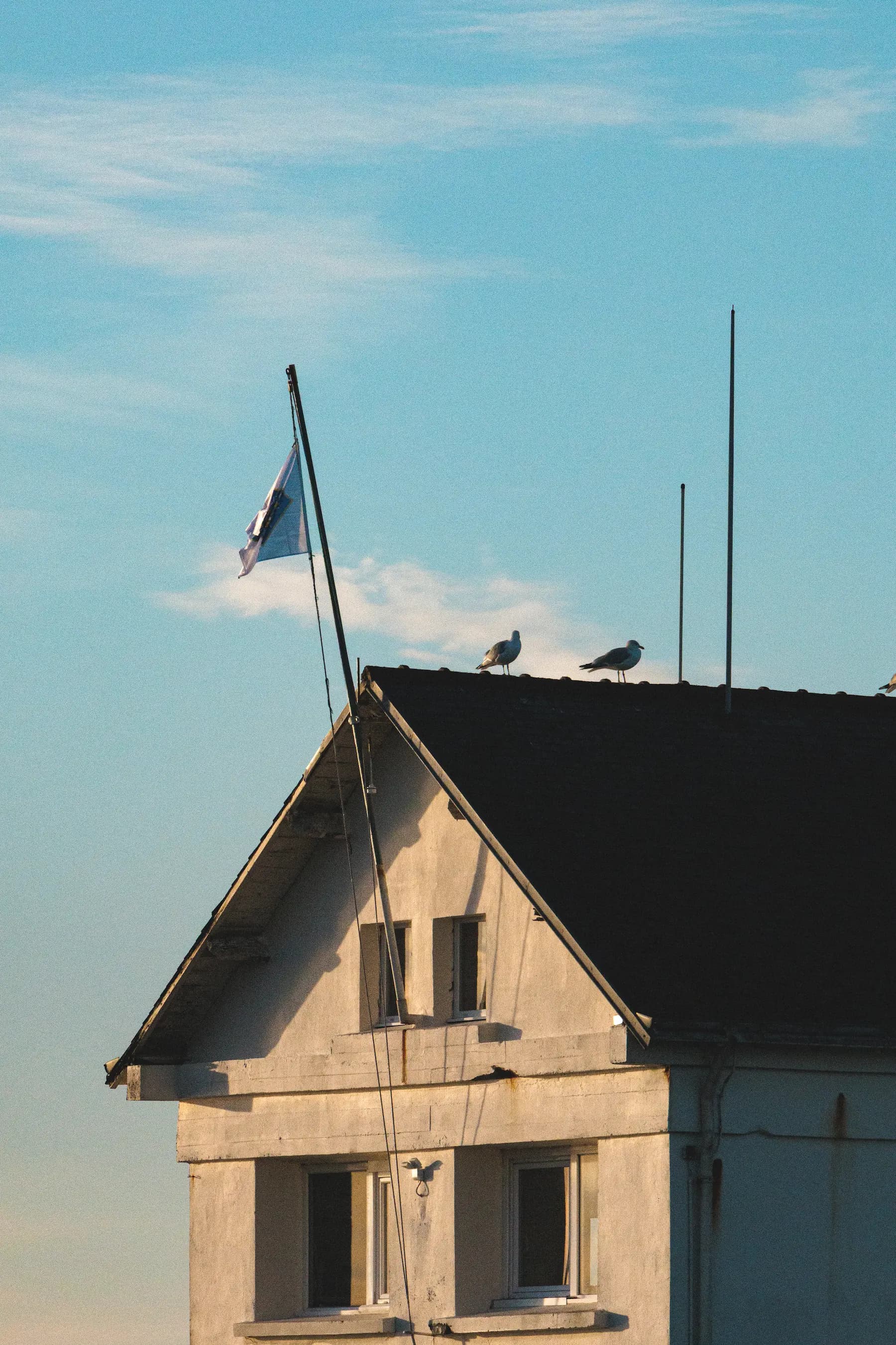 Nature & architecture - photo 3 par Alexis Yvonnou